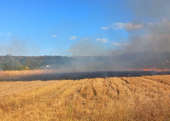 Požar u ataru Rudara kod Leskovca: Gori nisko rastinje