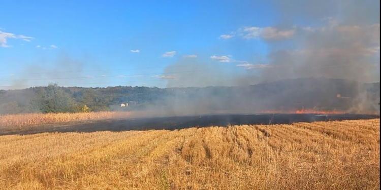 Požar u ataru Rudara kod Leskovca: Gori nisko rastinje