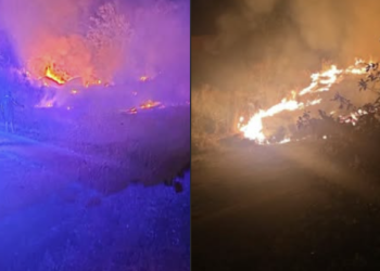 Požar i u Pečenjevcu: Vatra zahvatila nisko rastinje u blizini kuća