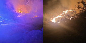 Požar i u Pečenjevcu: Vatra zahvatila nisko rastinje u blizini kuća