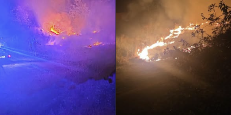 Požar i u Pečenjevcu: Vatra zahvatila nisko rastinje u blizini kuća