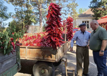 Dani paprike u Donjoj Lokošnici: Dve decenije tradicije i hiljade nanizanih paprika
