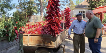 Dani paprike u Donjoj Lokošnici: Dve decenije tradicije i hiljade nanizanih paprika