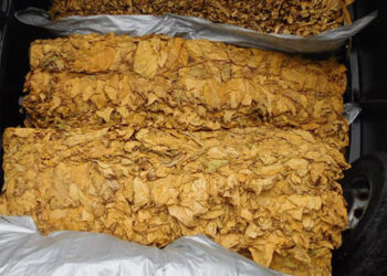 U džipu i garaži pronađeno više od 219 kilograma duvana i 11.750 paklica cigareta