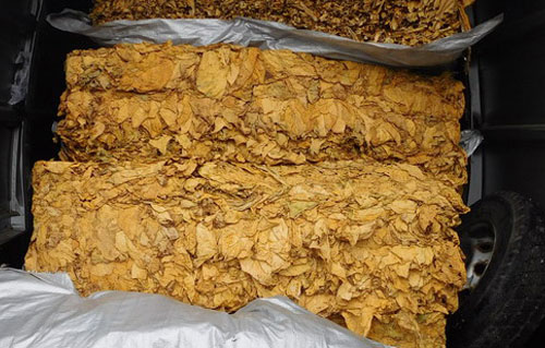 U džipu i garaži pronađeno više od 219 kilograma duvana i 11.750 paklica cigareta