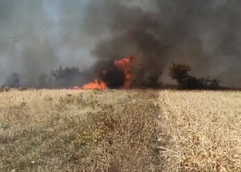 Veliki požar kod Guberevca: Vatra preti da zahvati separaciju, vatrogasci na terenu – VIDEO