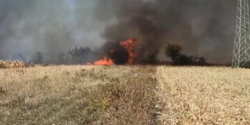 Veliki požar kod Guberevca: Vatra preti da zahvati separaciju, vatrogasci na terenu – VIDEO