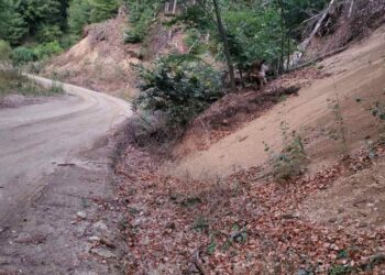 Inicijativa za zaštitu puta od podnožja do vrha Kukavice je pokrenuta: Ko mora i treba, a ko može da pomogne?