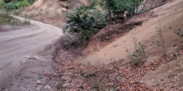 Inicijativa za zaštitu puta od podnožja do vrha Kukavice je pokrenuta: Ko mora i treba, a ko može da pomogne?