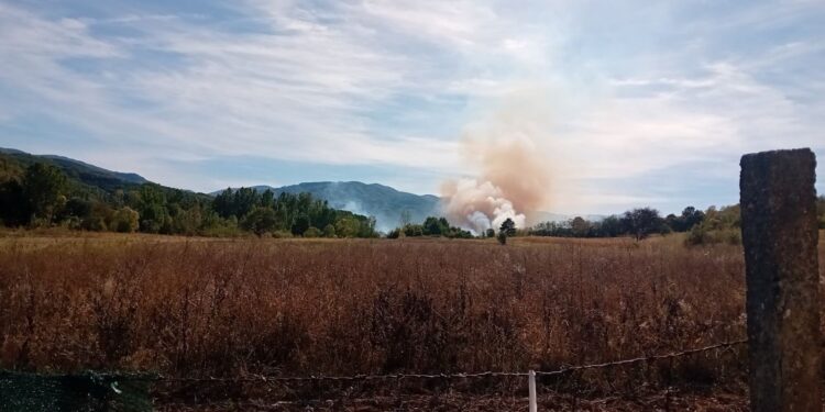 Požar na divljoj deponiji kod Kopašnice pod kontrolom