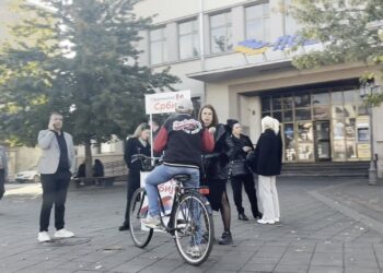 Direktor Centra za socijalni rad u Leskovcu na štandu SNS-a tokom radnog vremena