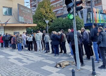 Gužve od ranog jutra na biračkim mestima u Leskovcu, kilometarski red naših zemljaka i ispred konzulata u Frankfurtu – VIDEO