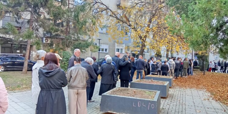 Gužve od ranog jutra na biračkim mestima u Leskovcu, kilometarski red naših zemljaka i ispred konzulata u Frankfurtu – VIDEO