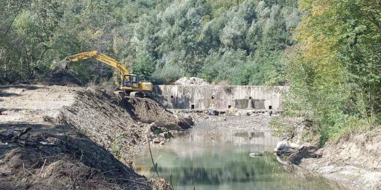 Počelo čišćenje predbrane na Veternici, investicija vredna pet miliona dinara