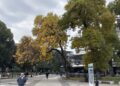 U Leskovcu jutros -1, a onda pravo letnje vreme: Temperatura danas do 28 stepeni